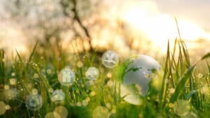 A globe in a grassy field highlighting sustainability and clean energy concepts